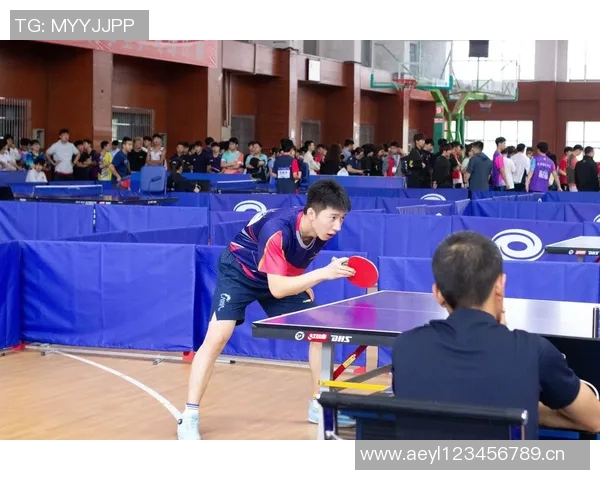 成都乒乓球队实力揭秘：乒乓球巨献背后的故事与成就