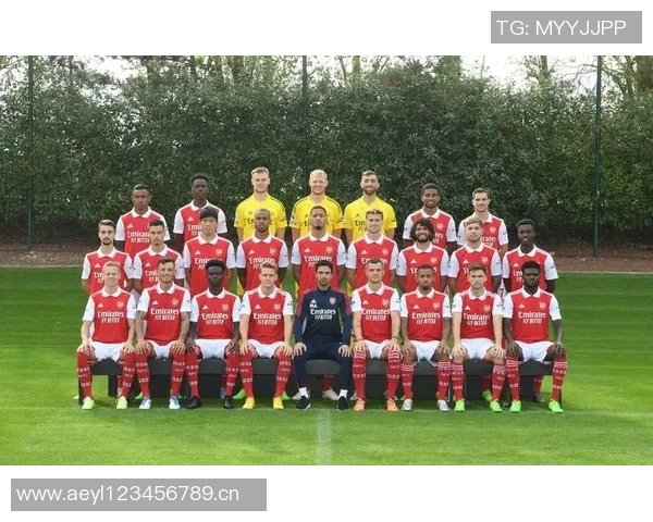 英超豪门阿森纳当前阵容分析 年轻化还是经验至上